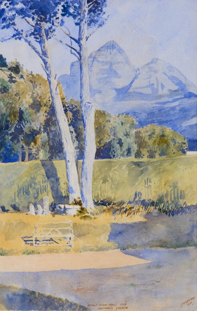 247 Devils peak from the author's garden 38x24 Libertas