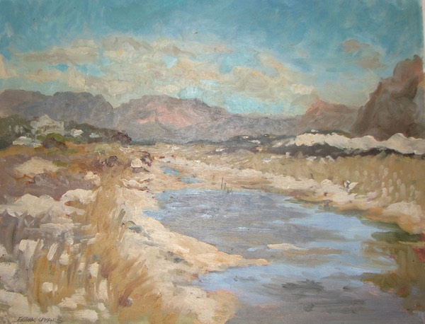 292 Landscape 35x46  Ruth Briggs  SA