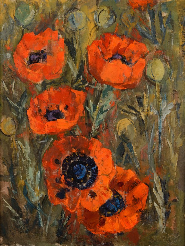 74 Red poppies 66x51 Libertas