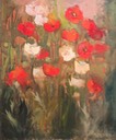 282 Red and white poppies    Deacon SA BCY0205