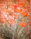 133 Red poppies   SA Thompsom